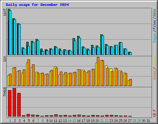 Daily usage for December 2024