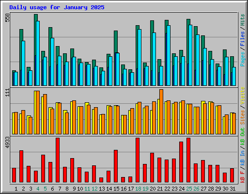 Daily usage for January 2025