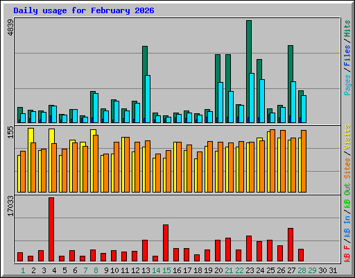Daily usage for February 2026