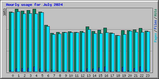 Hourly usage for July 2024