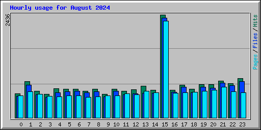 Hourly usage for August 2024