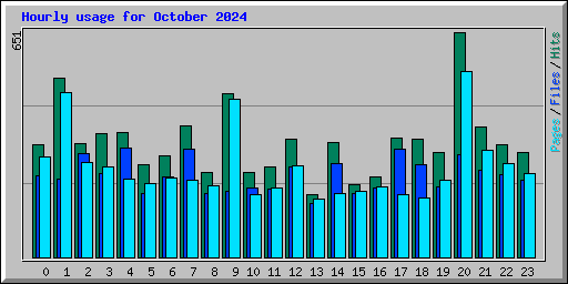 Hourly usage for October 2024