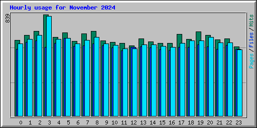 Hourly usage for November 2024