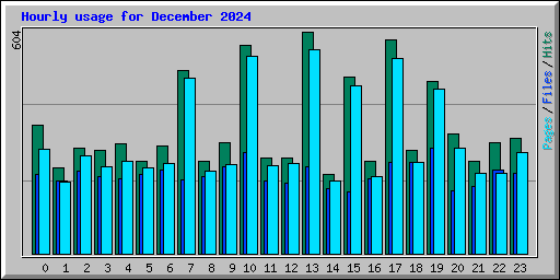 Hourly usage for December 2024