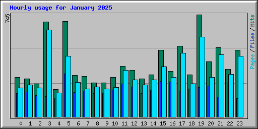 Hourly usage for January 2025