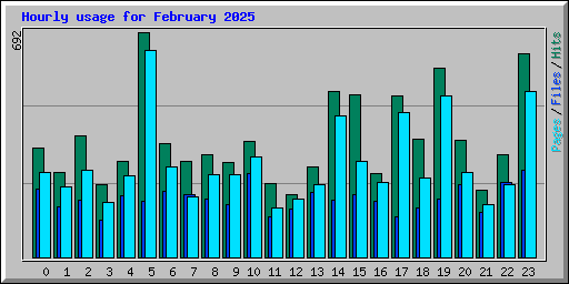 Hourly usage for February 2025