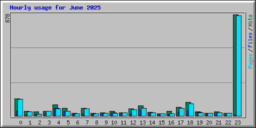 Hourly usage for June 2025