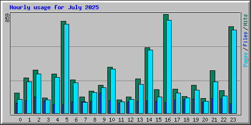 Hourly usage for July 2025