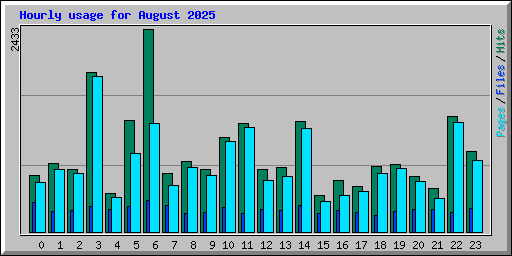 Hourly usage for August 2025