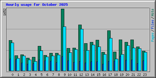 Hourly usage for October 2025