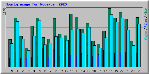 Hourly usage for November 2025