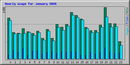 Hourly usage for January 2026