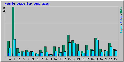 Hourly usage for June 2026
