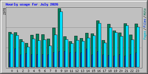 Hourly usage for July 2026