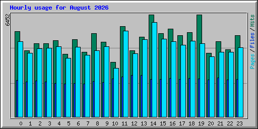 Hourly usage for August 2026