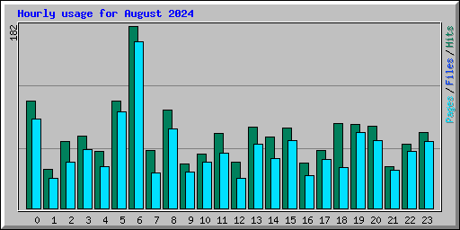 Hourly usage for August 2024