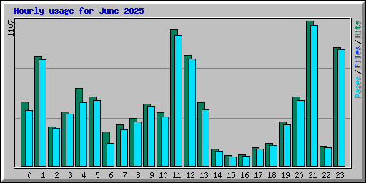 Hourly usage for June 2025