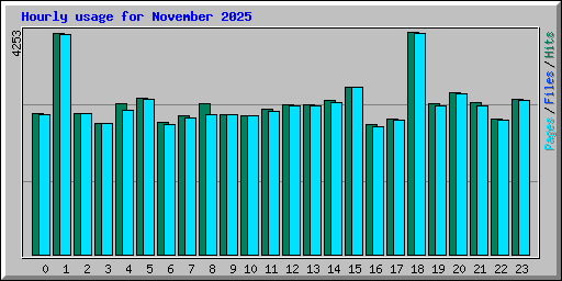 Hourly usage for November 2025
