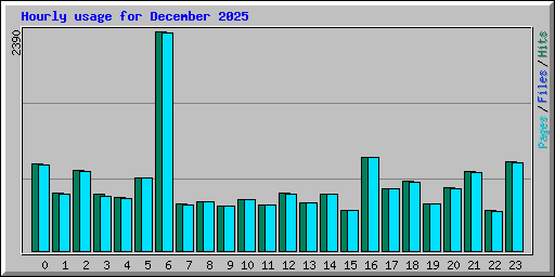 Hourly usage for December 2025