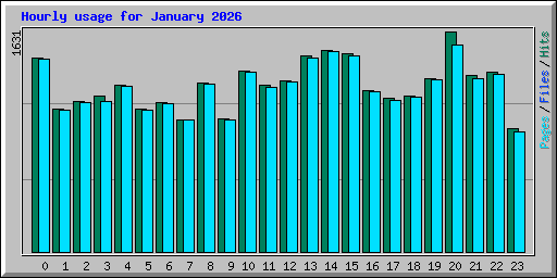 Hourly usage for January 2026