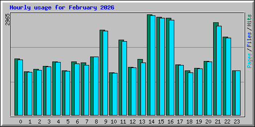 Hourly usage for February 2026