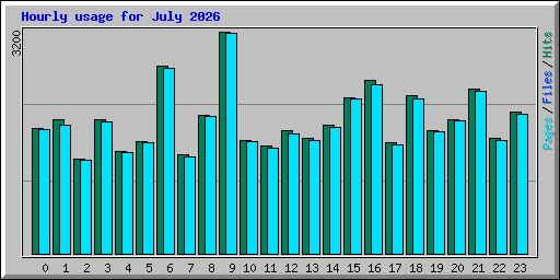 Hourly usage for July 2026